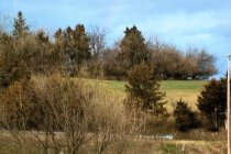 Parkins MIll artillery position